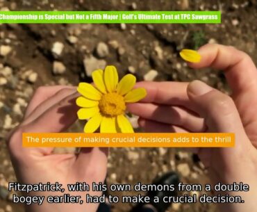 Why The Players Championship is Special but Not a Fifth Major | Golf's Ultimate Test at TPC Sawgrass