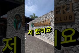 🇲🇾말레이시아 갓성비 골프 패키지👉18홀+캐디포함+카트진입+27홀코스+숏게임장+드라이빙레인지+숙소+전일정 식사포함 👉#동남아골프 #해외골프 #말레이시아골프 #골프