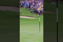 Branden Grace with the flop shot 👏 | #livgolfsouthafrica