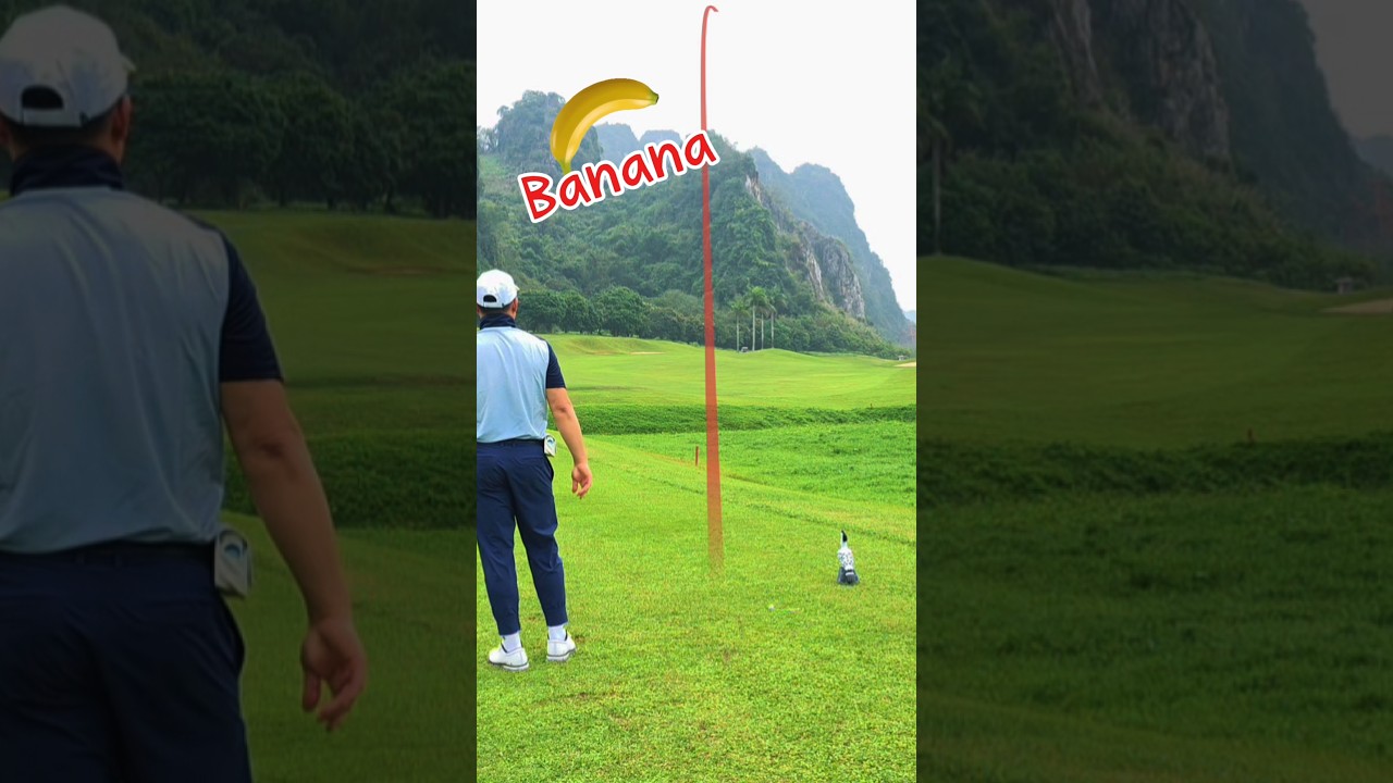 Banana shot 😋  #golf #golfswing #베트남 골프 #하노이 골프 #명량골프 #golfshorts #피닉스 골프Phoenix Golf Resort