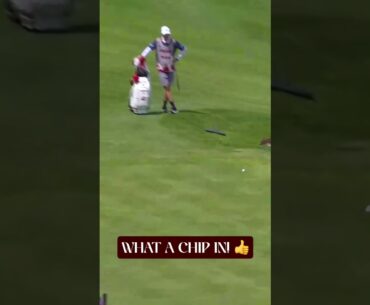 Round of applause for Josele! 👏 #golf #golfgear #golfswing #trickshots