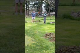 Matchplay Monday⛳️ Today at 3pm(PST) #golf #discgolf #fatherson #matchplay #monday