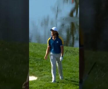 OUTRAGEOUS from Fleetwood! 🤩