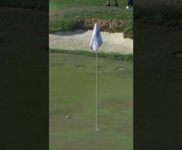 선두를 지켜낸 17번 홀 파 세이브! 결정적이었던 칩샷 다시보기🔥 #golf #lpga #골프 #김효주 #칩샷