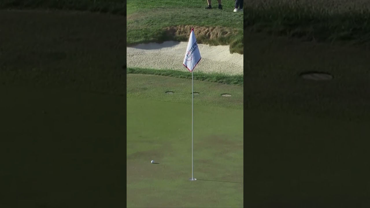 선두를 지켜낸 17번 홀 파 세이브! 결정적이었던 칩샷 다시보기🔥 #golf #lpga #골프 #김효주 #칩샷
