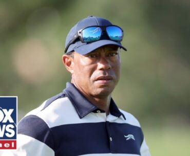 Tiger Woods BANNED from driving Trump family members BEFORE DUI: report