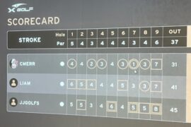 Simulator Hole-in-One