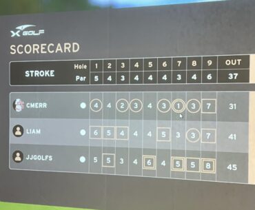 Simulator Hole-in-One