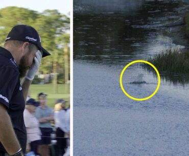 Cognizant Classic final round leaderboard, Shane Lowry meltdown, water balls, double bogeys, latest news, video, highlights, scores, result