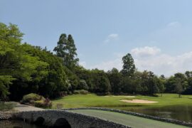 Augusta 12 and TPC sawgrass 17 replica