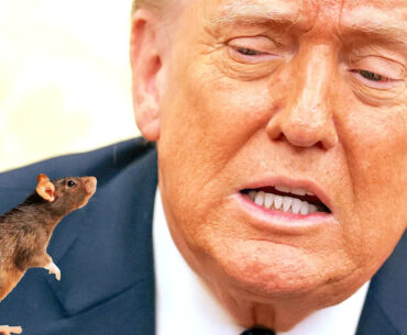 Trump’s Club Cited by Health Inspectors for Rat and Insect Infestations