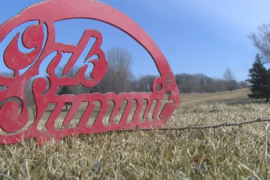 Rochester golfers take the fairways at Oak Summit Golf Course | News