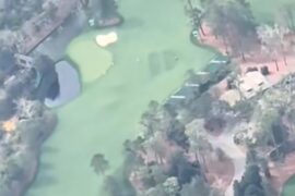 Augusta National replaced the tree behind the 11th green.