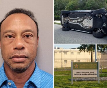 Tiger Woods mugshot revealed after crash, DUI arrest