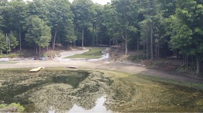 One client asked Greenside Turf owner Jeremy Stunt to build him an entire golf hole.