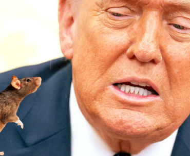 Trump’s Club Cited by Health Inspectors for Rat and Insect Infestations