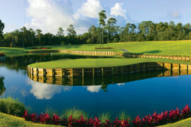 A picture of the 17th hole at TPC Sawgrass
