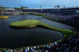 Should TPC Sawgrass host a Ryder Cup?