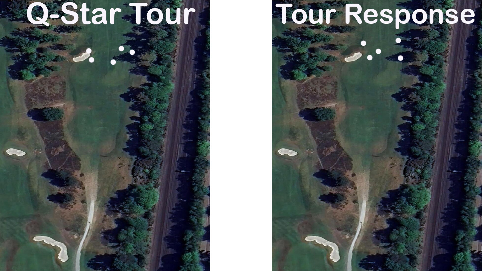 Srixon Q-Star Tour Golf Ball