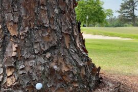 How you guys playing this one?