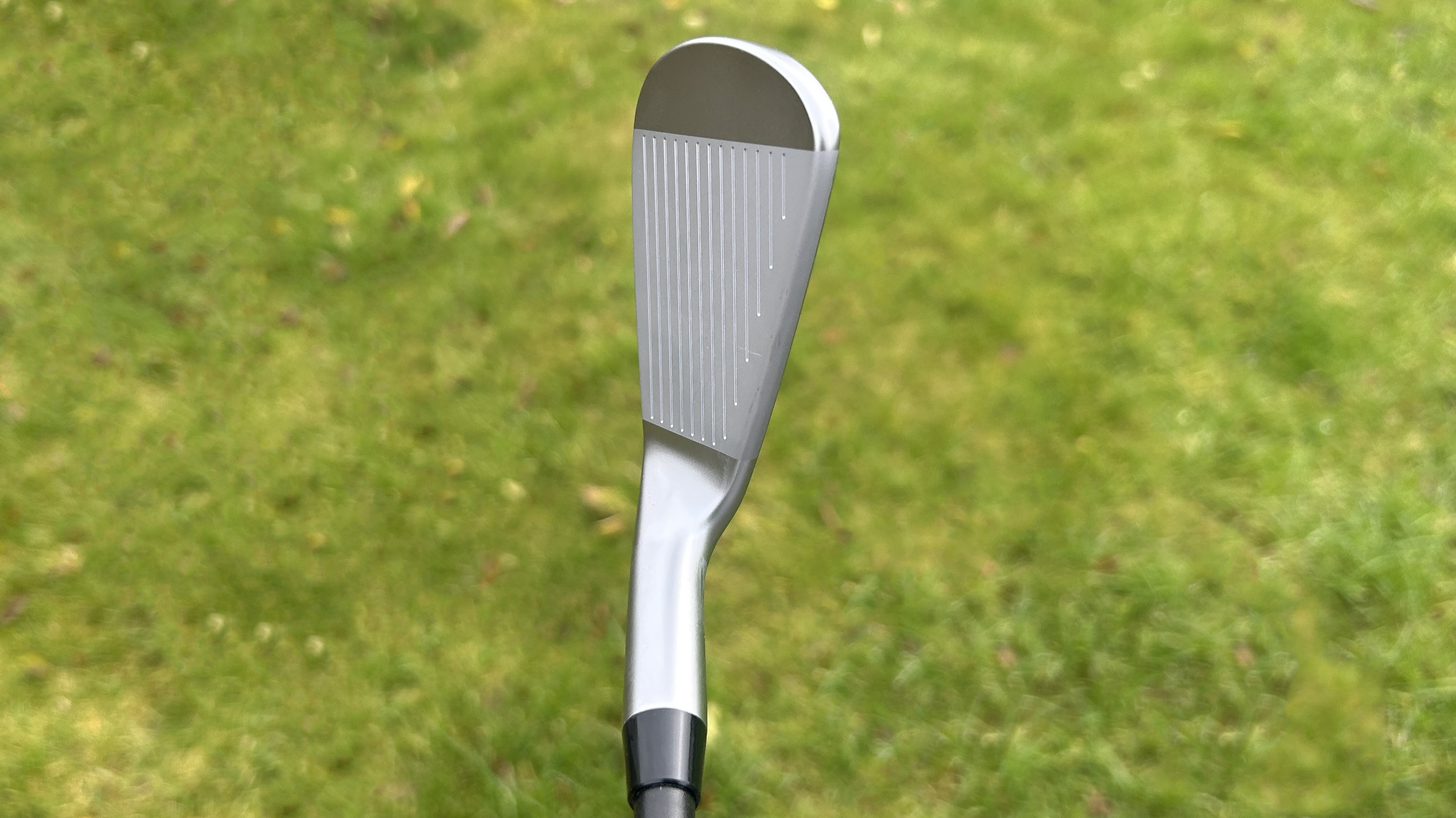 Photo of the LA Golf CB-26 7 Iron