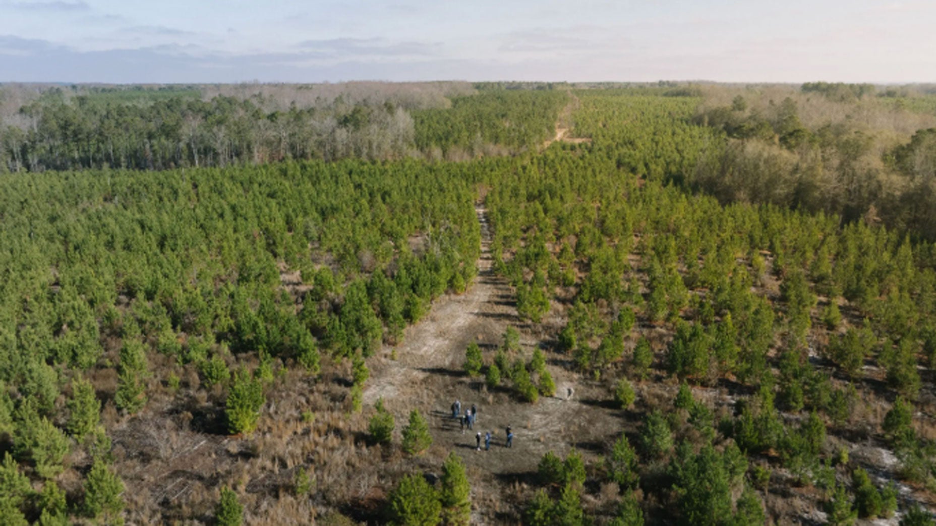 Golf’s worst-kept secret taking shape in the Carolina Sandhills Golf's worst-kept secret taking shape in the Carolina Sandhills