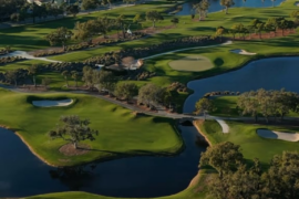 Getting better with the drone. Let me know how I did!