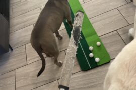 Show me a worse grip