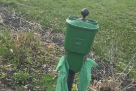 Nature is healing. What a sight for sore eyes