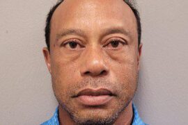 Tiger mugshot