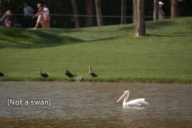 PGA Tour is cooking something special with the “No filter, mic’d up at the players” video