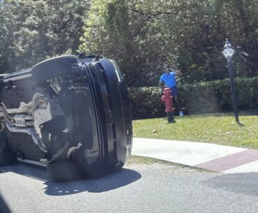 Tiger shortly after the crash