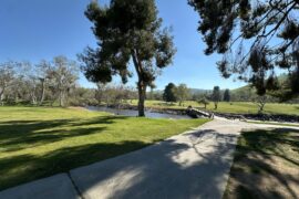 Hidden Gems in Cali?