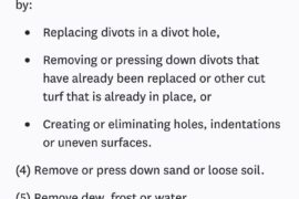 Rule 8.1 on the green fringe