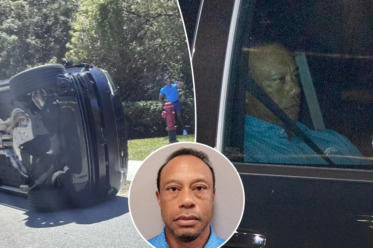 Tiger Woods should quit golf after DUI crash: Brandel Chamblee