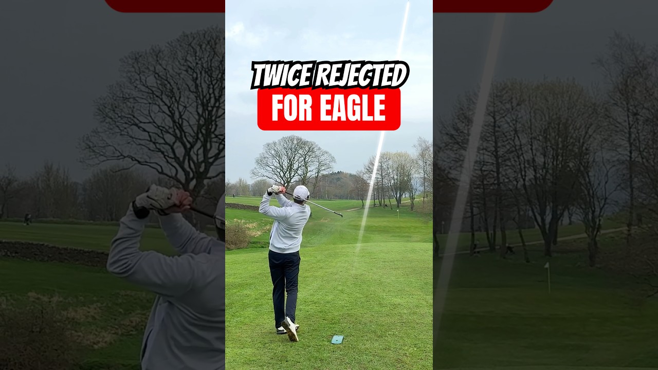 Not 1 But 2 Eagles in 2 Days!? 🦅