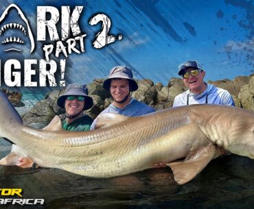 Döme Gábor - CÁPAVESZÉLY! Ne menj a vízbe! Félelmetes cápahorgászat Afrikában 2.rész