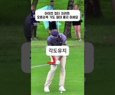 US 오픈 챔피언이 보여주는 힌지 유지의 끝판왕