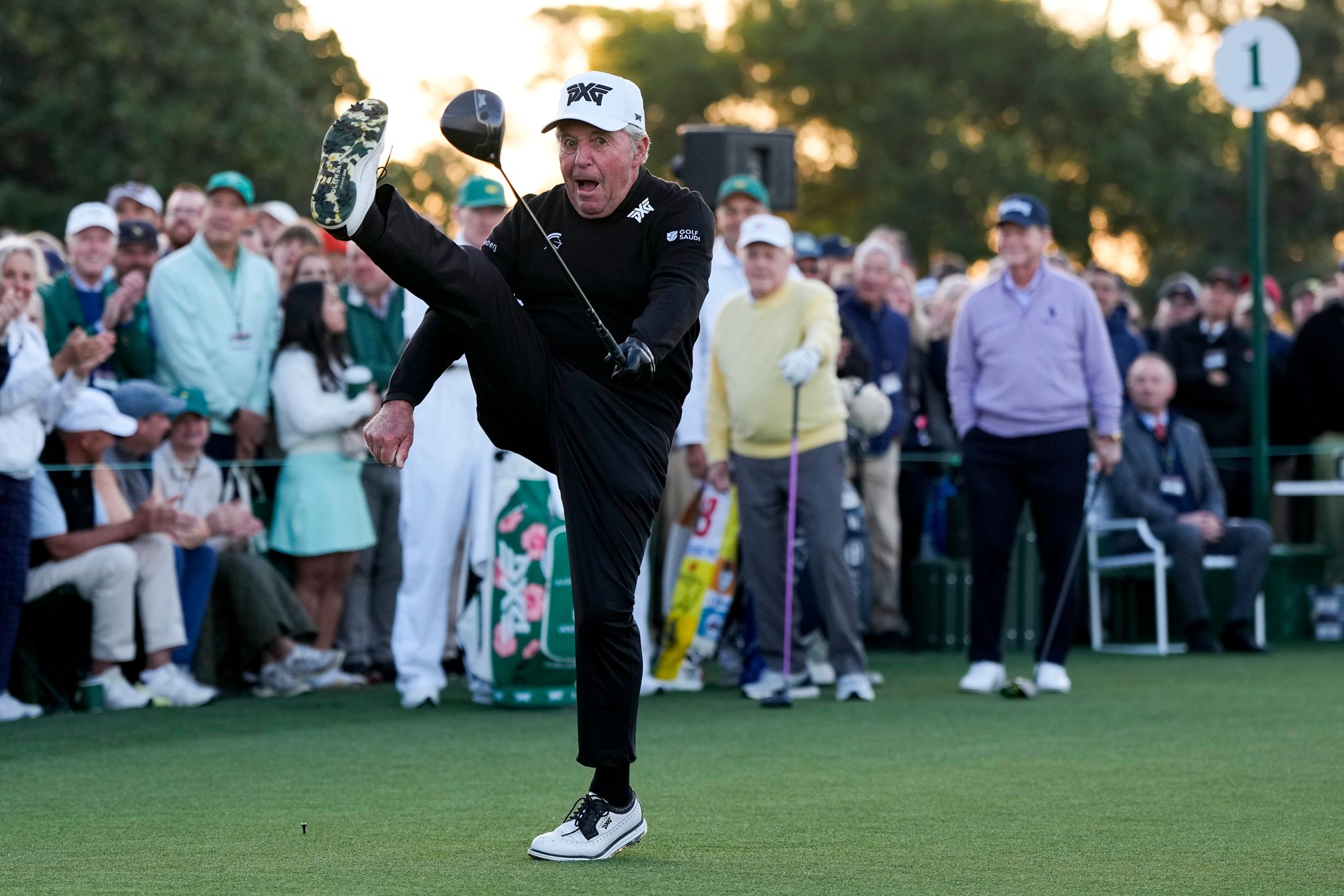 Gary Player says Tiger Woods' pain medication is understandable but he shouldn't be driving