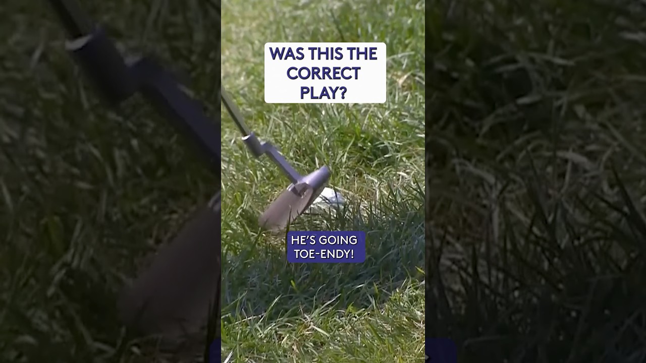 What would YOU have done? 🤔