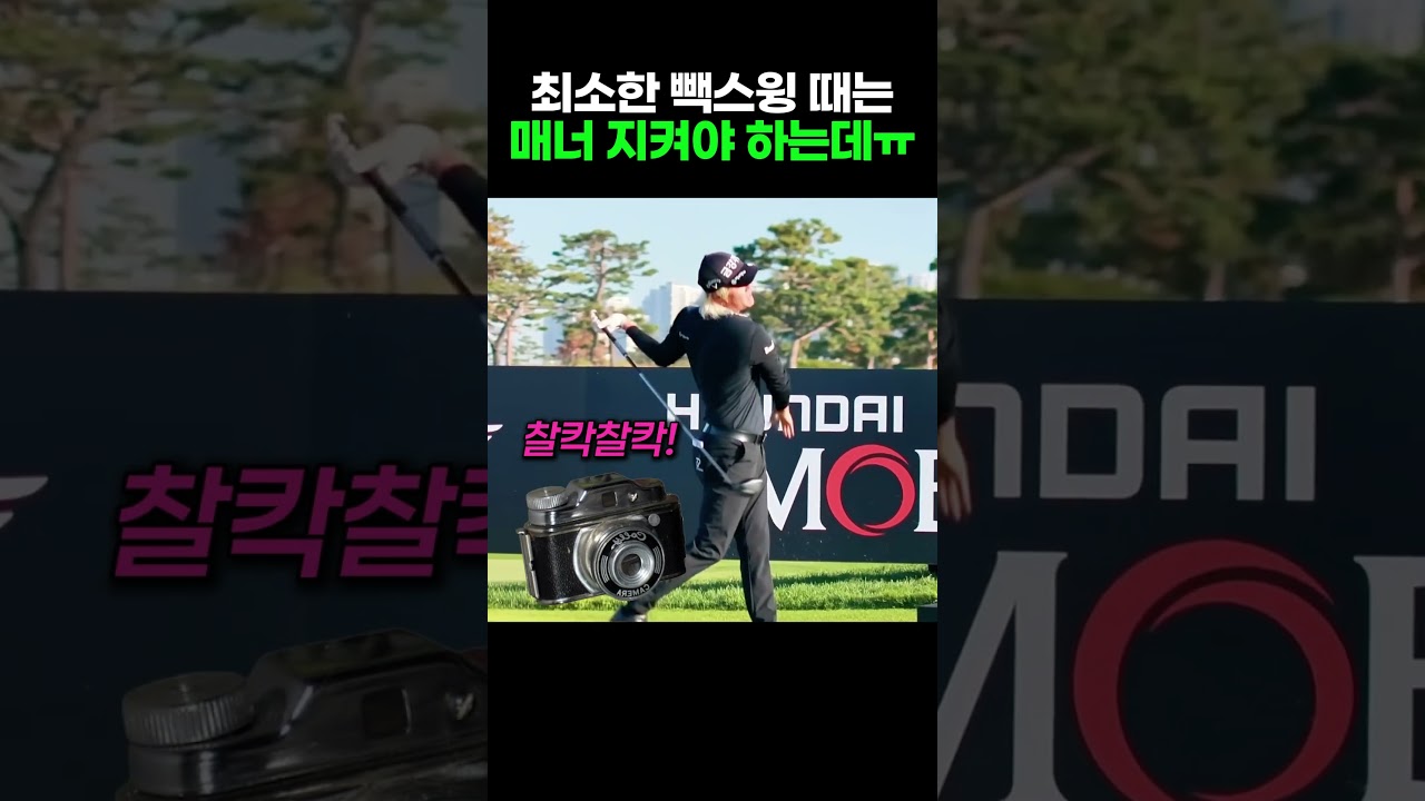 빽스윙때는 예의 지켜야 하는데 ㅠ #골프 #골프스윙