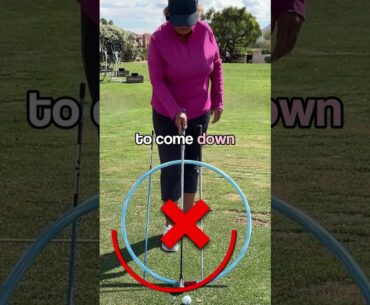 The Hybrid Secret Nobody Explains