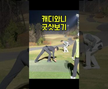 캐디와니 굿샷 #드라이버스윙 #필드골프 #골프레슨 #골프스윙