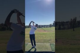 Tiny Driver. Aim Small. Miss Small. ⛳️