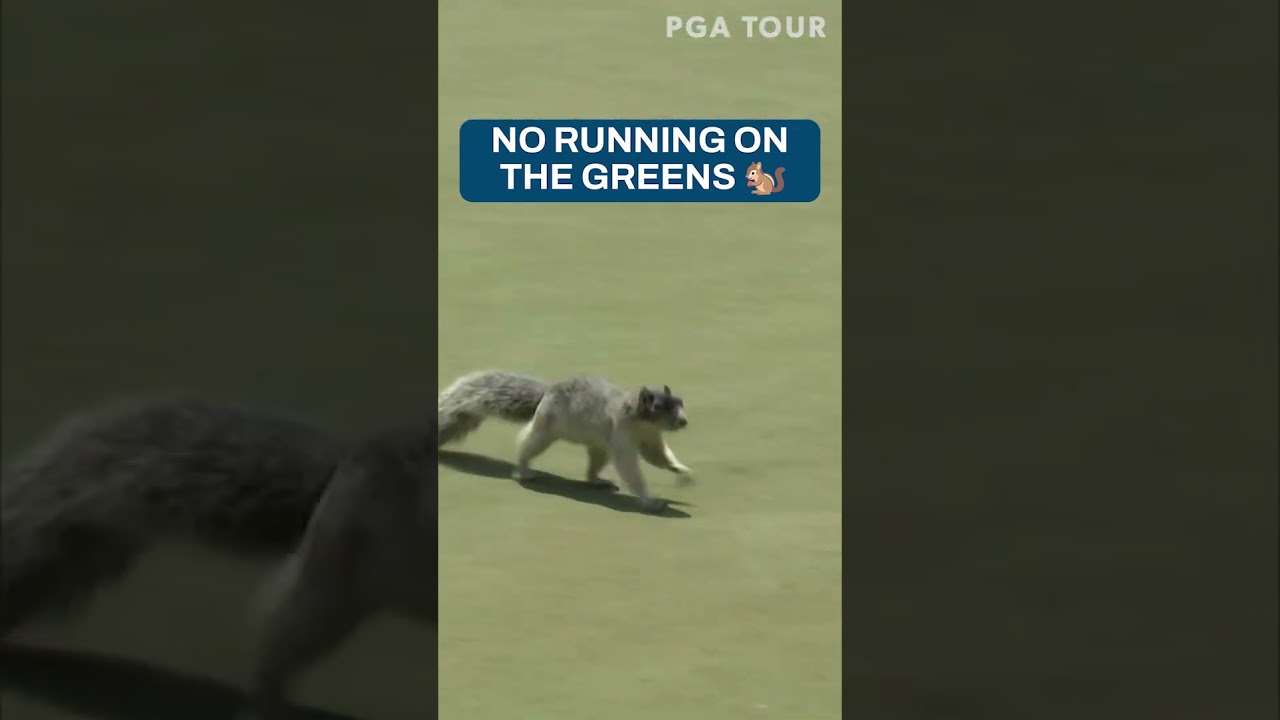 Just playing through 🐿️ #TOURVault