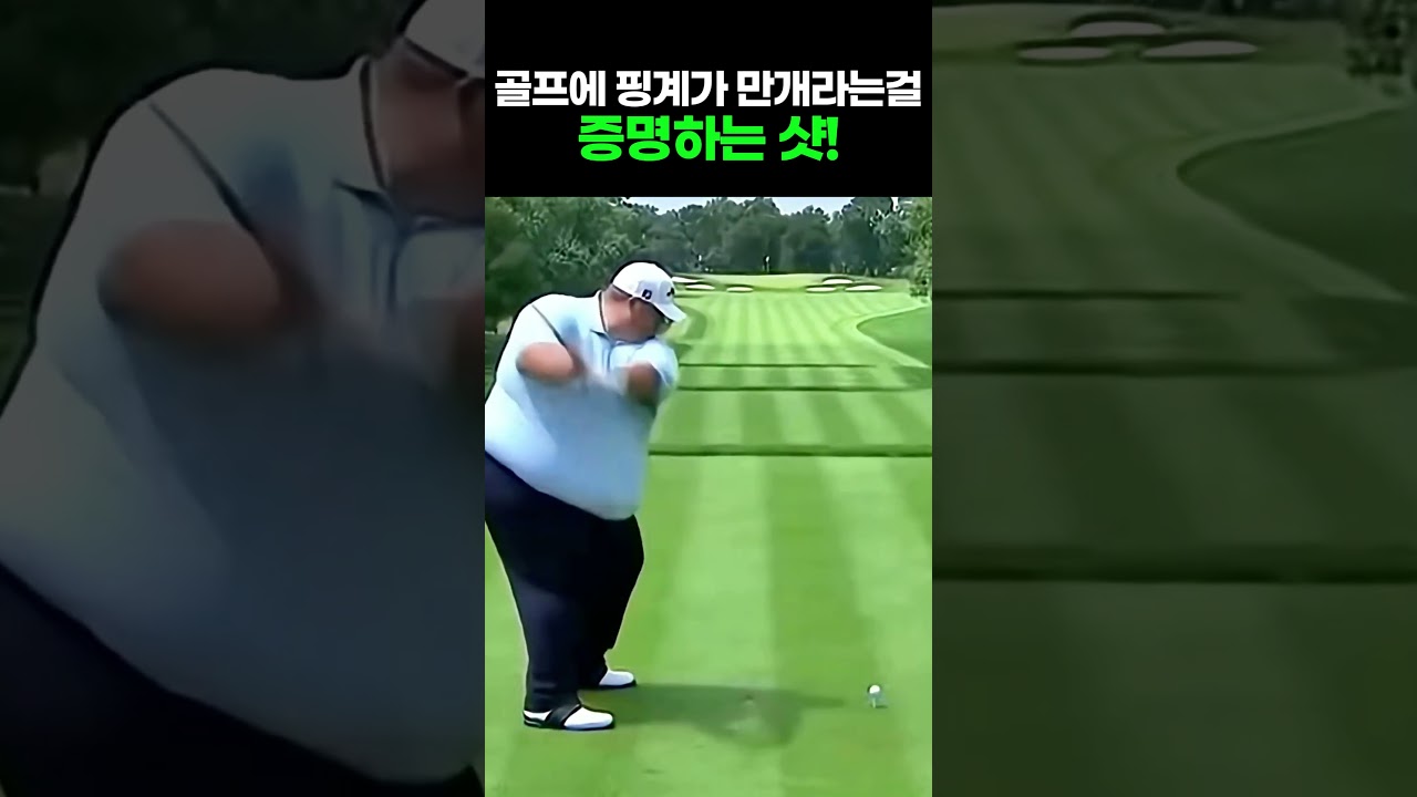 골프에 핑계가 만개라는걸 증명하는 샷! ㅎㄷㄷ #골프 #골프스윙