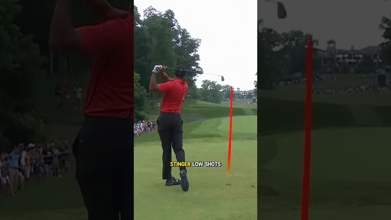 Hit STINGERS like Tiger Woods! 😱👀 #golf #golfswing #golftips #golfcoach