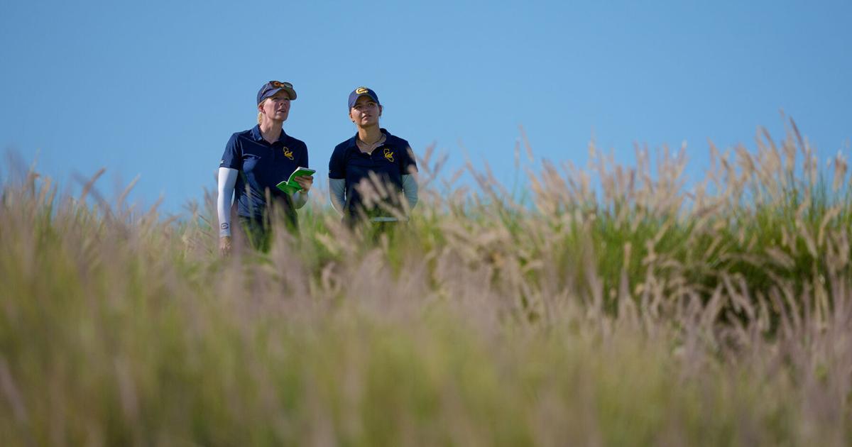 Bears assert dominance, face high stakes in final season test | Golf