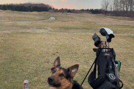 First round of the year for chapo