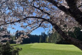 Vancouver Island businessman acquires popular Cowichan Valley golf course